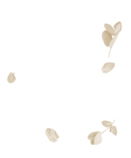 Jaadin – Vietnamesische Familienküche & Sharing Food